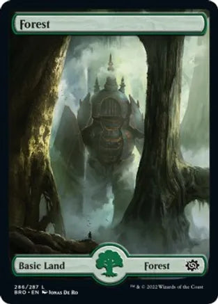 Forest (286) - Full Art - The Brothers' War (BRO)